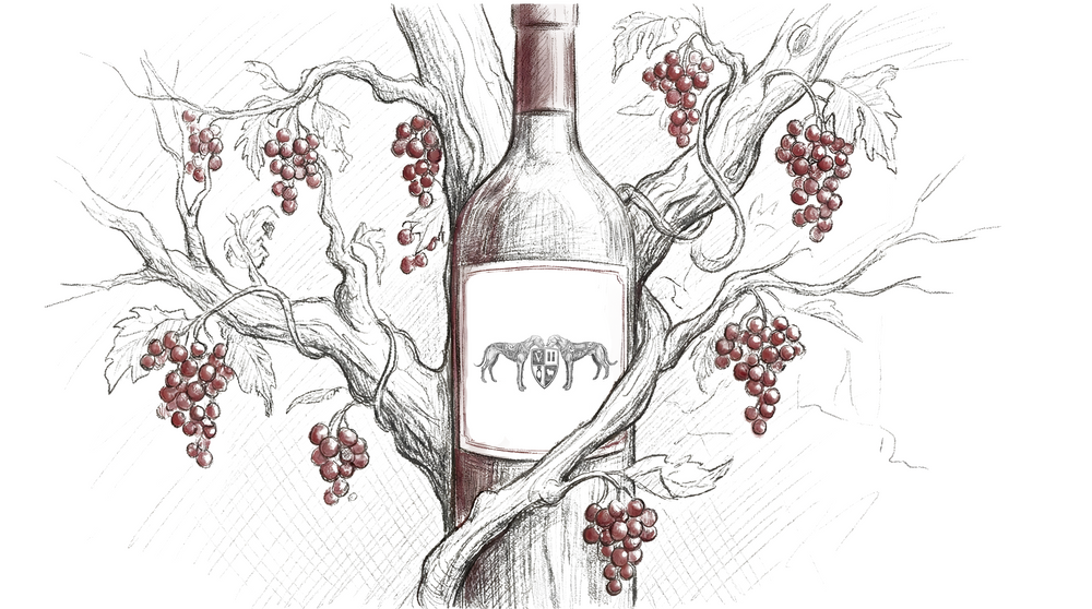 ROOTED PRINCIPLES - JOT #004